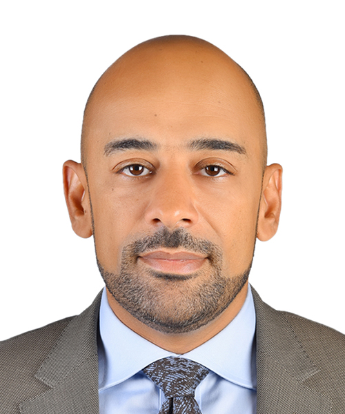   السيد/ تامر السيد محمد 