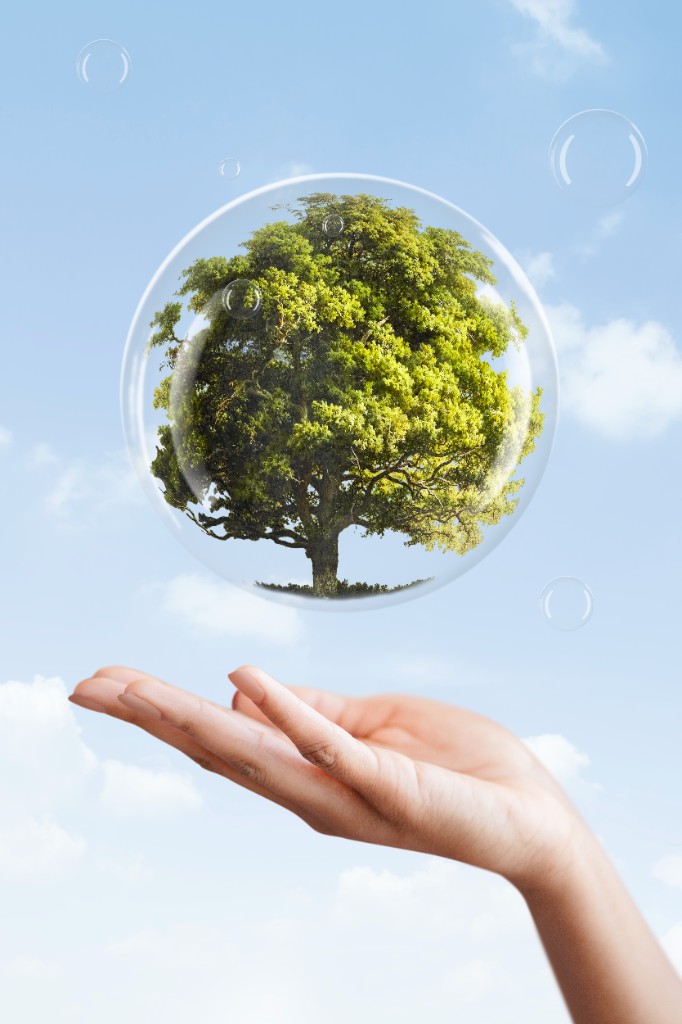 ESG strategy
